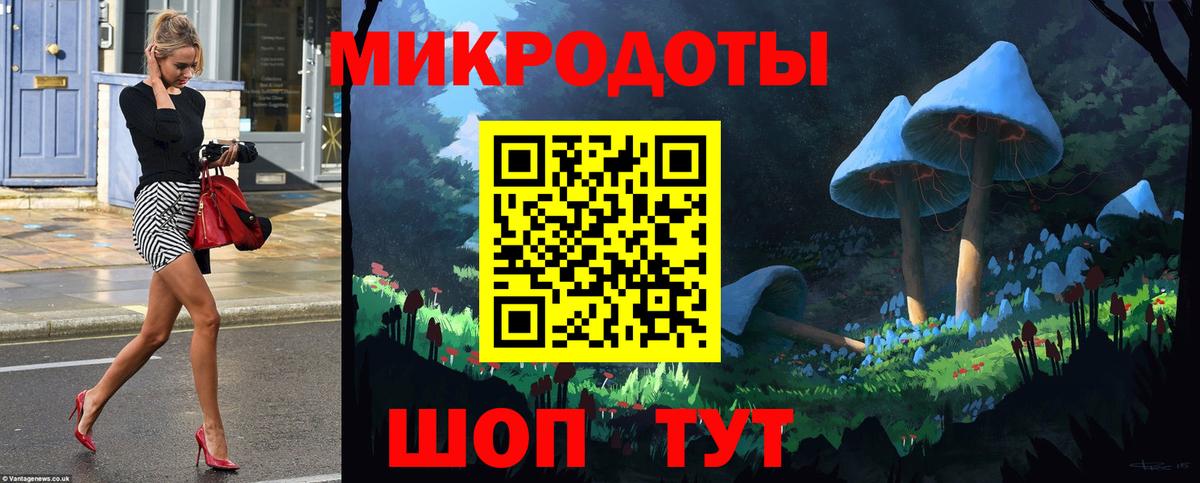 Псилоцибиновые грибы Cubensis Дубна