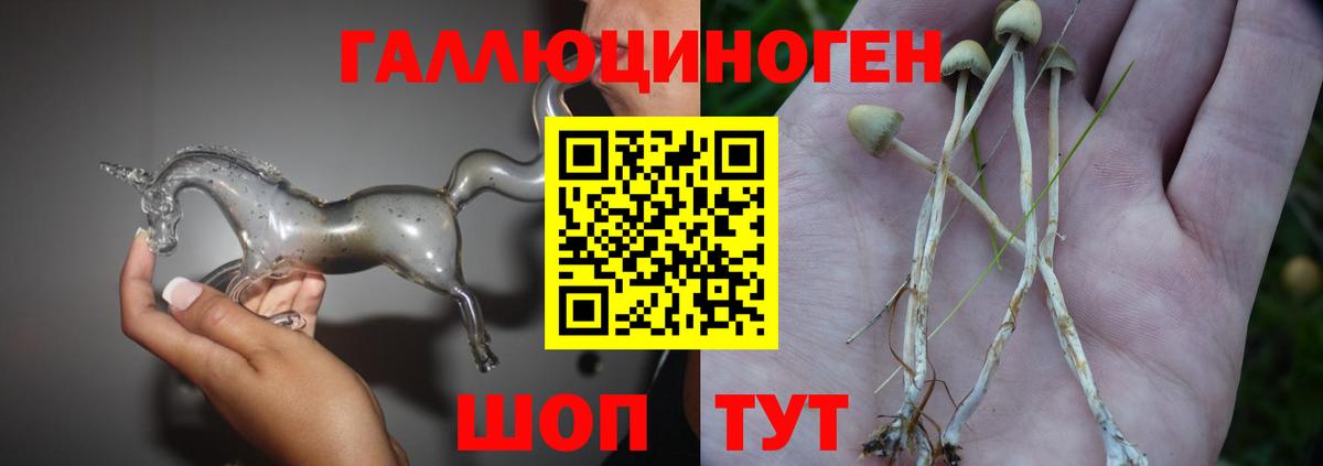 Галлюциногенные грибы прущие грибы  Вход с VPN  Псилоцибиновые грибы MAGIC MUSHROOMS  хочу наркоту  Дубна 